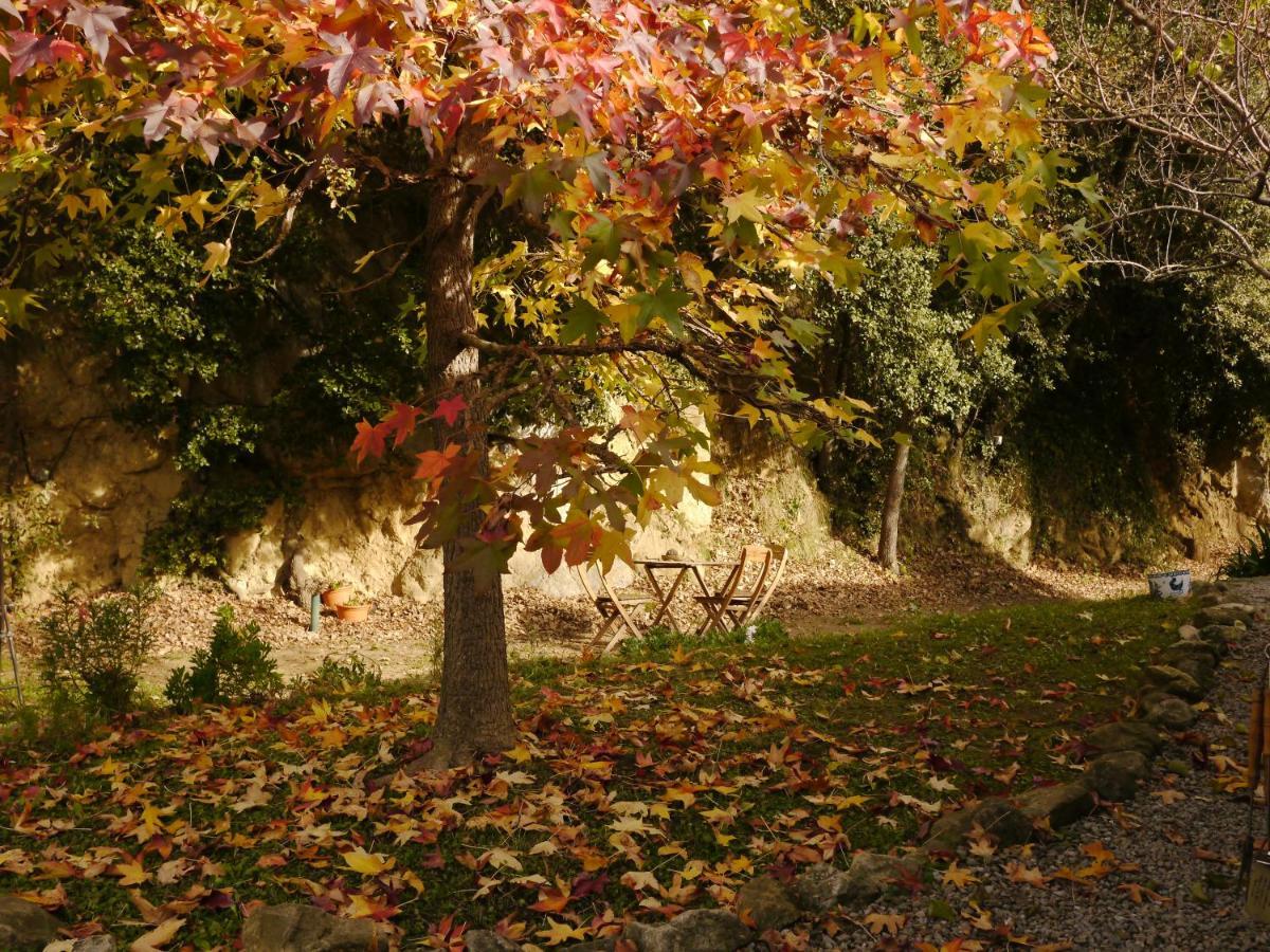 Appartement Mas Franch à San Miguel de la Pineda Extérieur photo